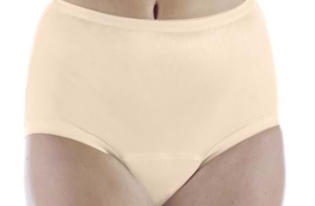 Ladies Classic Nylon Panty