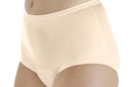 Ladies Classic Nylon Panty